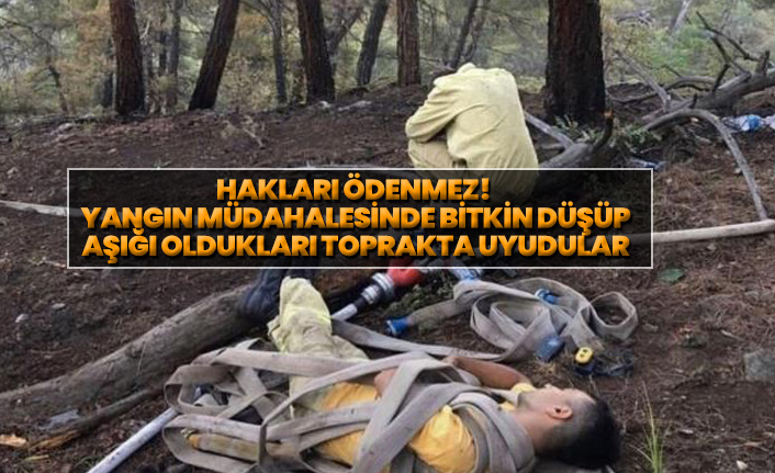 Hakları ödenmez!