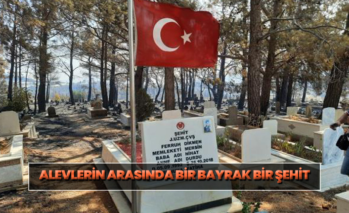 Mersin'deki yangında şehit kabri ve Türk bayrağı yanmadı