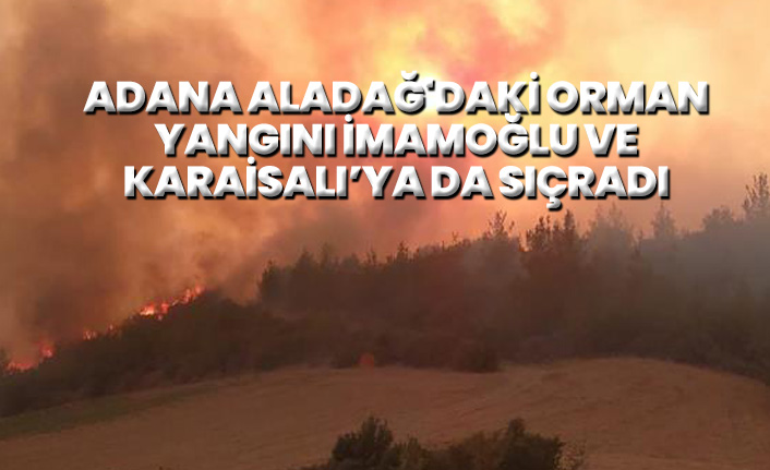 Adana Aladağ'daki orman yangını iki ilçeye daha sıçradı