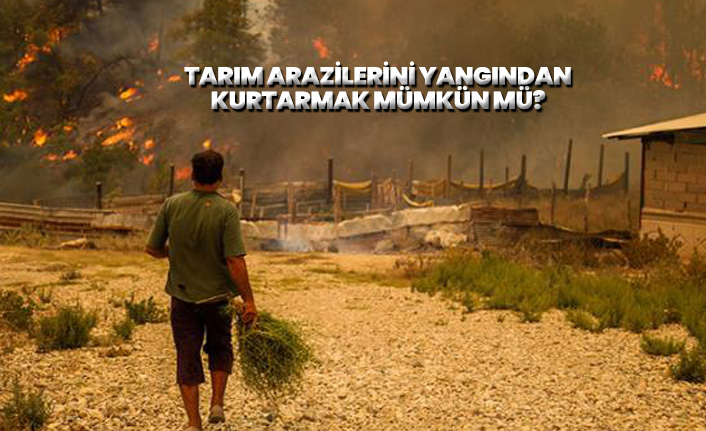 Tarım arazilerini yangından kurtarmak, koruyucu şeritlerle mümkün