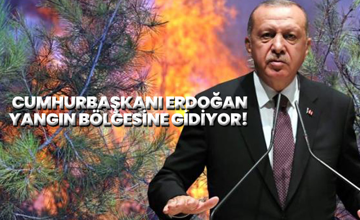 Cumhurbaşkanı Erdoğan yangın bölgesine gidiyor!