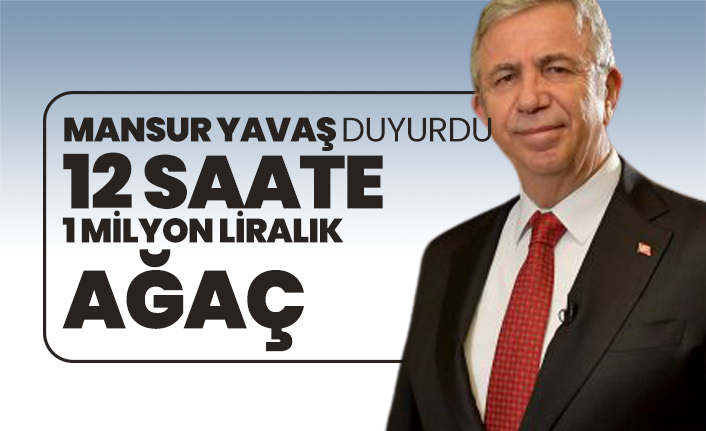 Mansur Yavaş duyurdu "12 saate  1 milyon liralık ağaç"