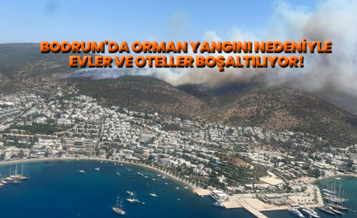 Bodrum'da orman yangını nedeniyle evler ve oteller boşaltılıyor!