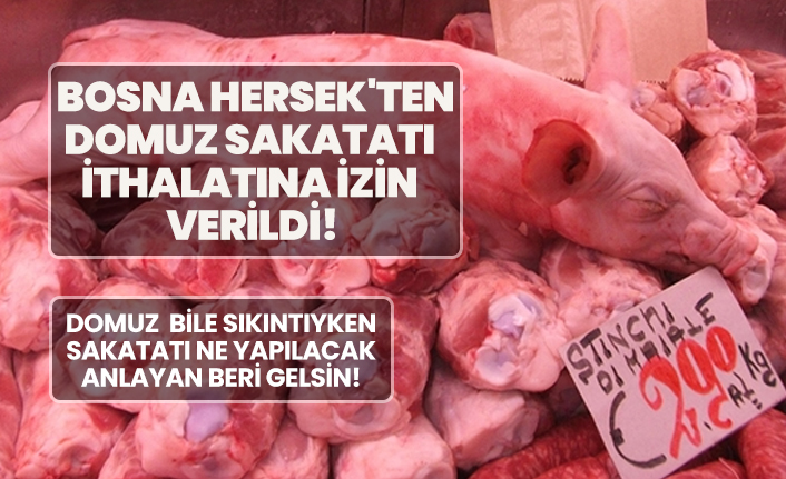 Bosna Hersek'ten Domuz sakatatı  ithalatına izin  verildi!