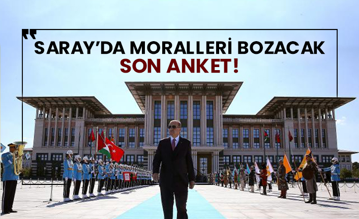 Saray’da moralleri bozacak son anket!