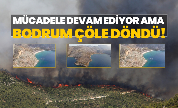 Mücadele devam ediyor ama, Bodrum çöle döndü!