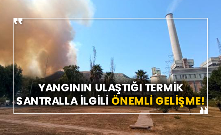 Yangının ulaştığı termik santralla ilgili önemli gelişme!