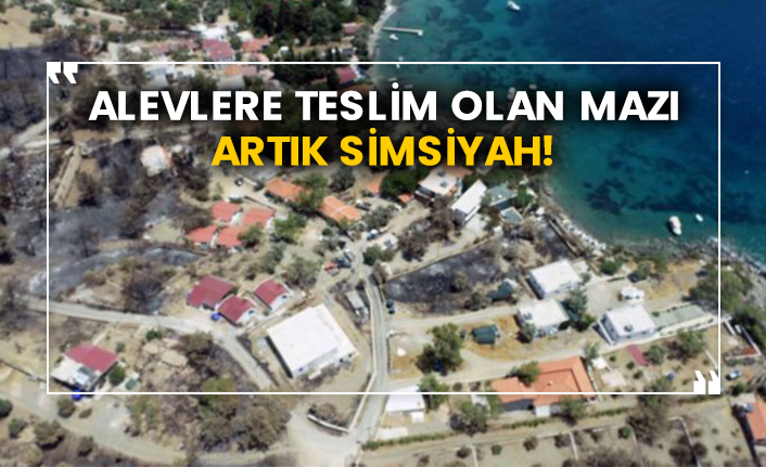 Alevlere teslim olan Mazı artık simsiyah!