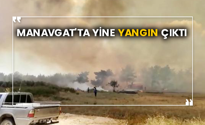 Manavgat'ta yine yangın çıktı