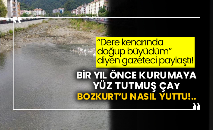 “Dere kenarında doğup büyüdüm” diyen gazeteci paylaştı! Bir yıl önce kurumaya yüz tutmuş çay Bozkurt’u nasıl yuttu!..