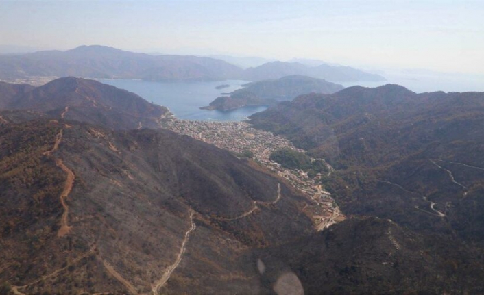 Muğla Belediye Başkanı'ndan orman yangınları sonrasında korkutan açıklama