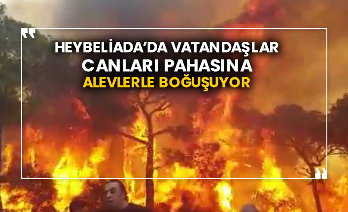 Heybeliada’da vatandaşlar canları pahasına alevlerle boğuşuyor