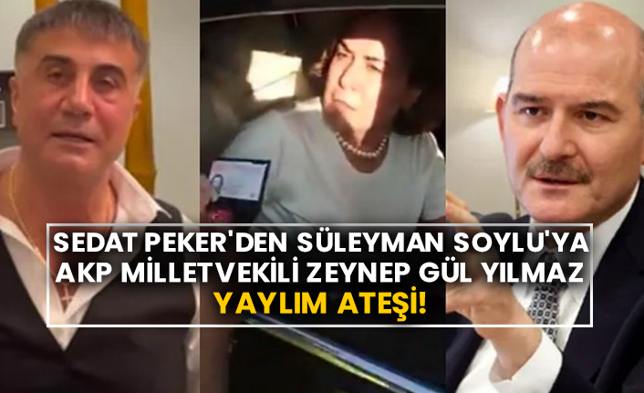 Sedat Peker'den Süleyman Soylu'ya AKP Milletvekili Zeynep Gül Yılmaz yaylım ateşi!