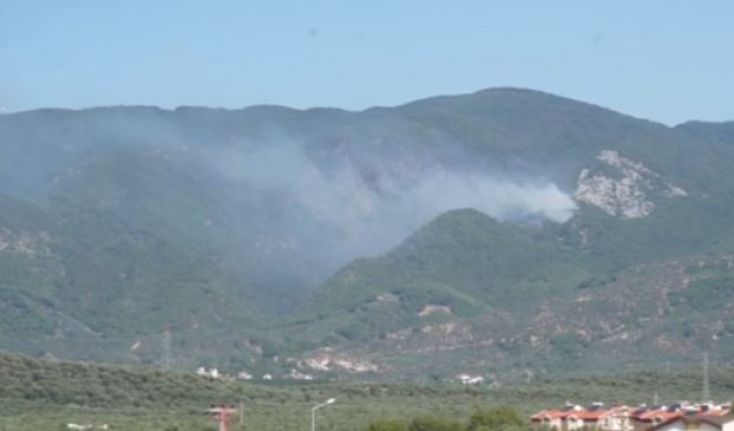 Kaz Dağları'nda orman yangını