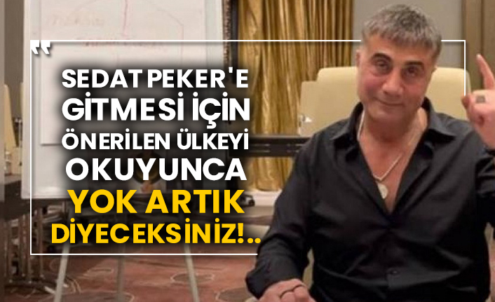Sedat Peker'e gitmesi için önerilen ülkeyi okuyunca yok artık diyeceksiniz!..