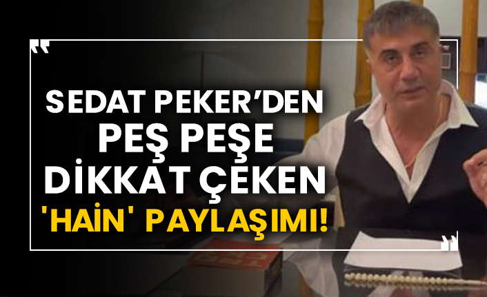 Sedat Peker’den peş peşe dikkat çeken 'hain' paylaşımı!