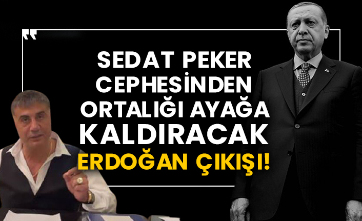 Sedat Peker cephesinden ortalığı ayağa kaldıracak Erdoğan çıkışı!