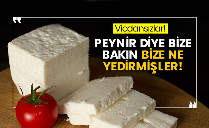 Peynir diye bize bakın bize ne yedirmişler!