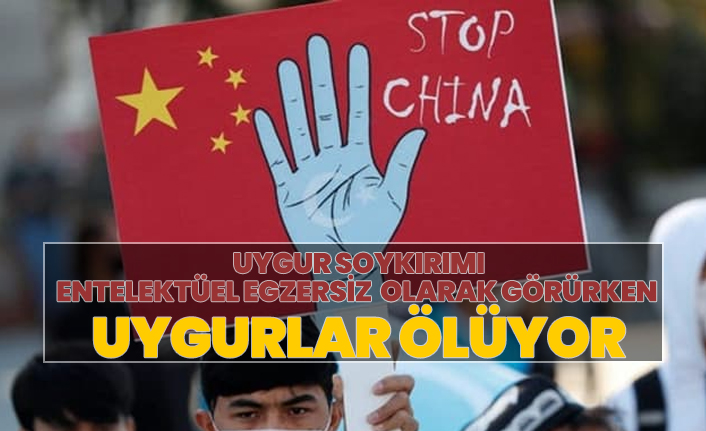 Uygur soykırımı entelektüel egzersiz  olarak görürken  Uygurlar ölüyor