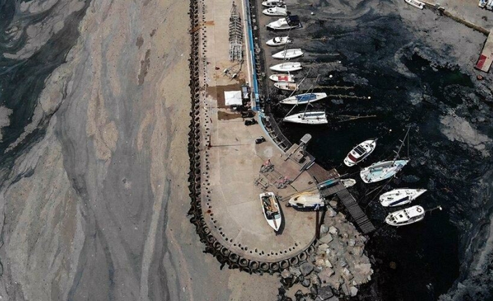 Marmara’da müsilaj incelemesinde korkutan uyarı! 'Bu seneki manzarayı arayacağız'