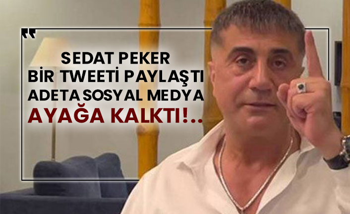 Sedat Peker bir tweeti paylaştı adeta sosyal medya ayağa kalktı!..