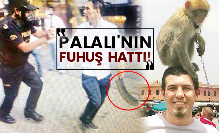 Palalı'nın fuhuş hattı!