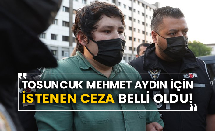 Tosuncuk Mehmet Aydın için istenen ceza belli oldu!