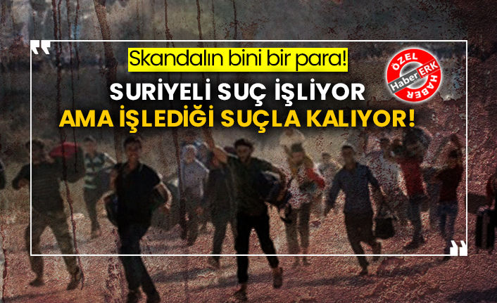 Skandalın bini bir para! Suriyeli suç işliyor ama işlediği suçla kalıyor!
