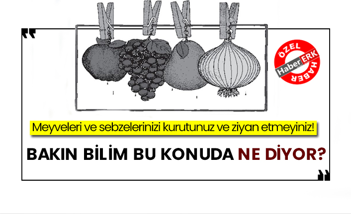 Meyveleri ve sebzelerinizi kurutunuz ve ziyan etmeyiniz! Bakın bilim bu konuda ne diyor?