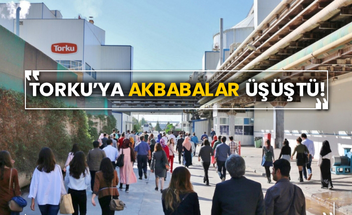 Torku’ya akbabalar üşüştü!