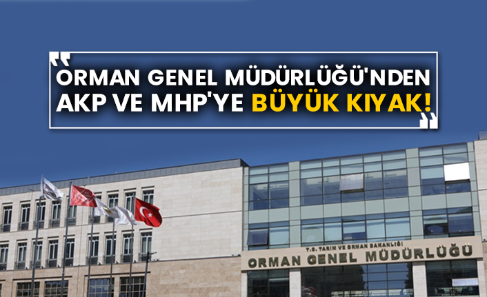 Orman Genel Müdürlüğü'nden AKP ve MHP'ye büyük kıyak!