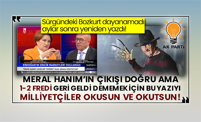 Sürgündeki Bozkurt dayanamadı aylar sonra yeniden yazdı! Meral Hanım’ın çıkışı doğru ama 1-2 Fredi geri geldi dememek için bu yazıyı Milliyetçiler okusun ve okutsun!