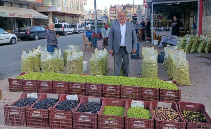 Zeytine rekolte zammı kapıda!