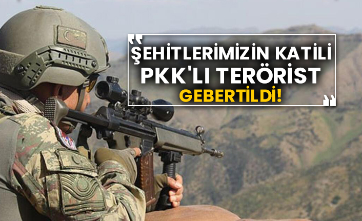 Şehitlerimizin katili Pkk'lı terörist etkisiz hale getirildi