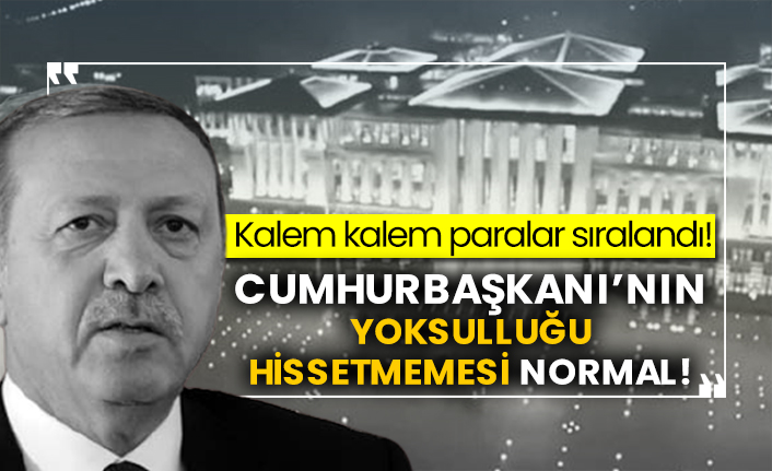 Kalem kalem paralar sıralandı! Cumhurbaşkanı’nın yoksulluğu hissetmemesi normal!