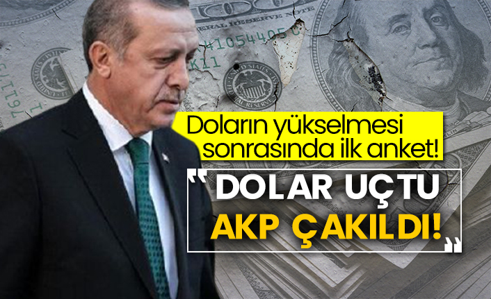 Doların yükselmesi sonrasında ilk anket! Dolar uçtu AKP çakıldı!