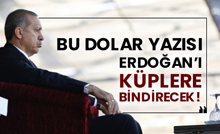 Bu dolar yazısı Erdoğan’ı küplere bindirecek!