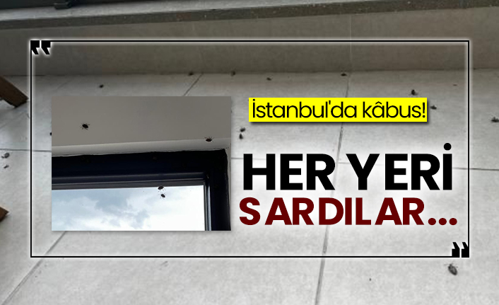 İstanbul'da kâbus! Her yeri sardılar...