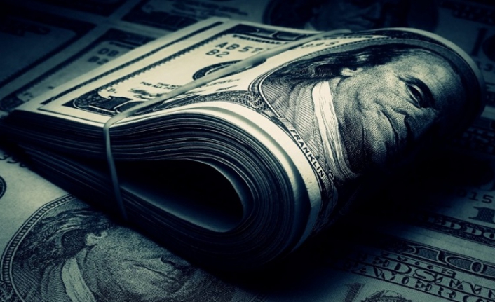 Büyükelçilerin 'Viyana Sözleşmesi' açıklaması sonrası dolarda düşüş