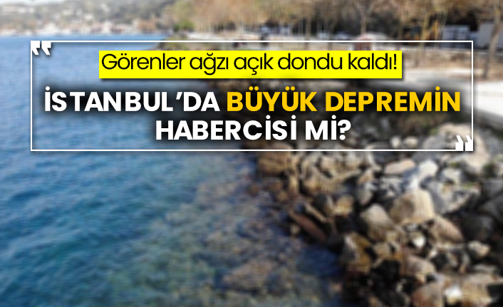 Görenler ağzı açık dondu kaldı!  İstanbul’da büyük depremin habercisi mi?