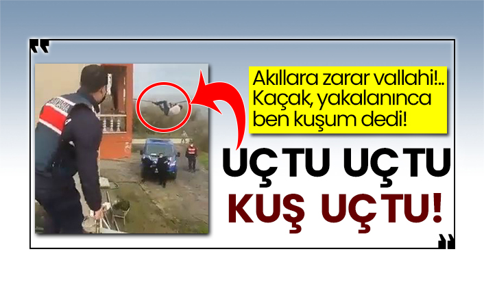 Akıllara zarar vallahi!.. Kaçak yakalanınca ben kuşum dedi! Uçtu uçtu kuş uçtu!