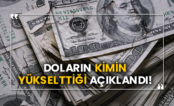 Doların kimin yükselttiği açıklandı!
