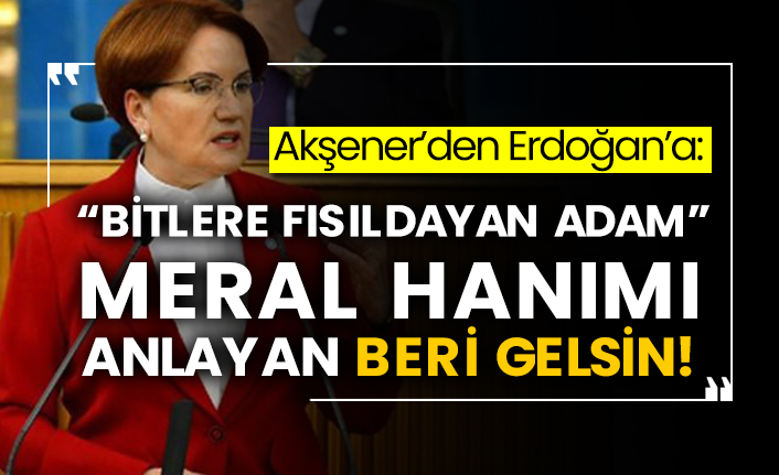 Meral Akşener’den Erdoğan’a: Bitlere fısıldayan adam