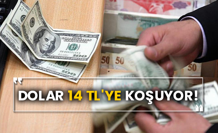 Dolar 14 TL'ye koşuyor!