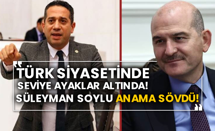 Türk siyasetinde seviye ayaklar altında! Süleyman Soylu anama sövdü!