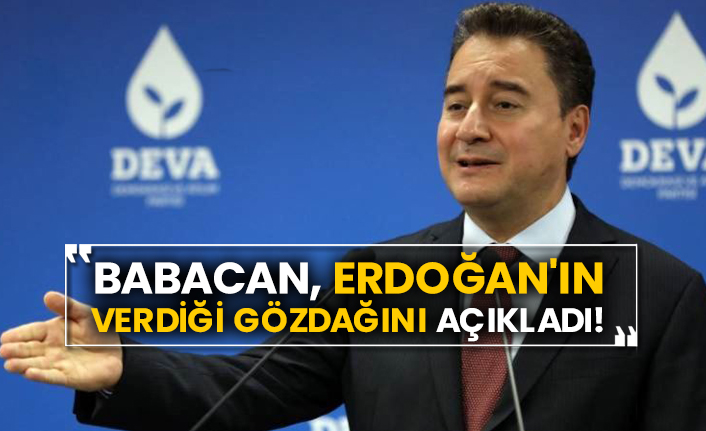 Ali Babacan, Erdoğan'ın verdiği gözdağını açıkladı!