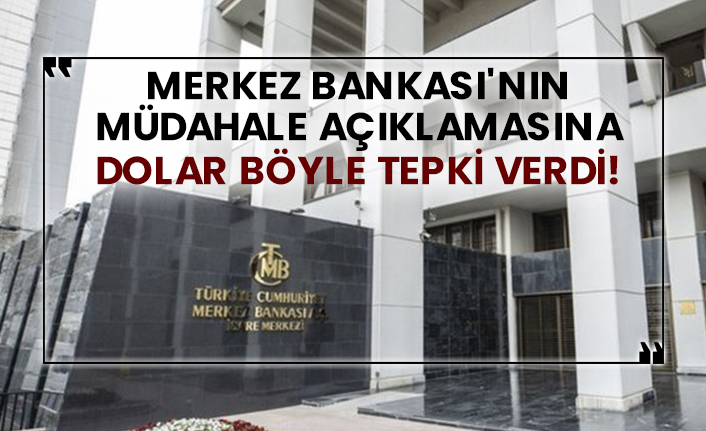 Merkez Bankası'nın müdahale açıklamasına dolar böyle tepki verdi!