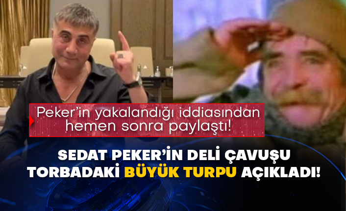 Peker’in yakalandığı iddiasından hemen sonra paylaştı! Sedat Peker’in Deli Çavuşu torbadaki büyük turpu açıkladı!