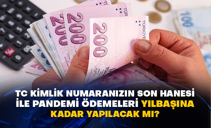 TC kimlik numaranızın son hanesi ile pandemi ödemeleri yılbaşına kadar yapılacak mı?