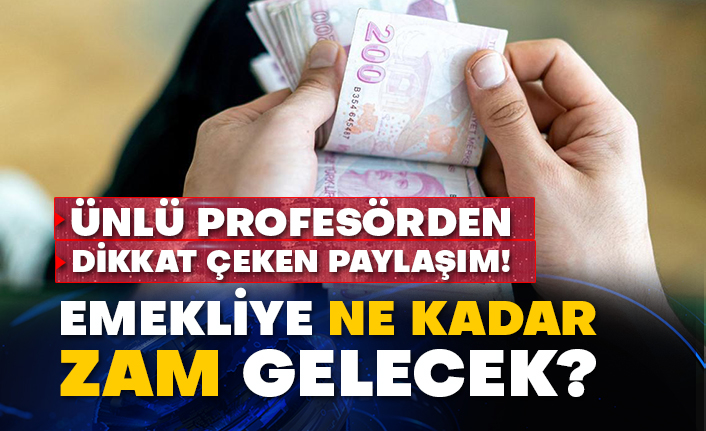 Ünlü profesörden dikkat çeken paylaşım!  Emekliye ne kadar zam gelecek?
